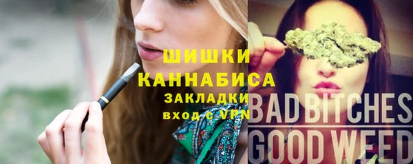 твердый Аркадак