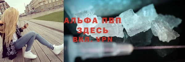 твердый Аркадак