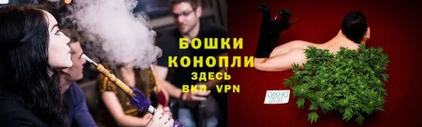 спиды Пестово
