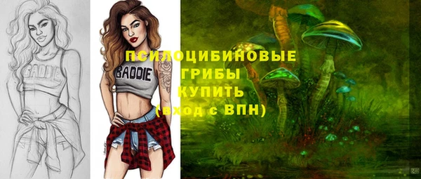 бошки Армянск