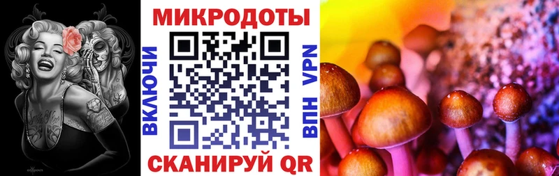 Галлюциногенные грибы Psilocybe  Маркс 